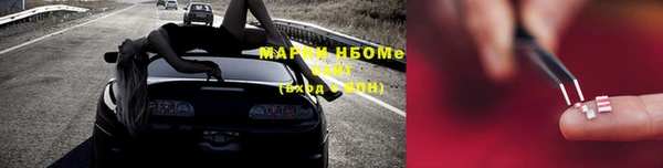 дмт Богданович