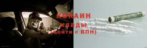 тгк Богородицк