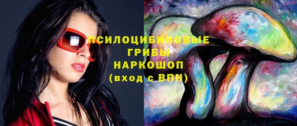крисы Белоозёрский