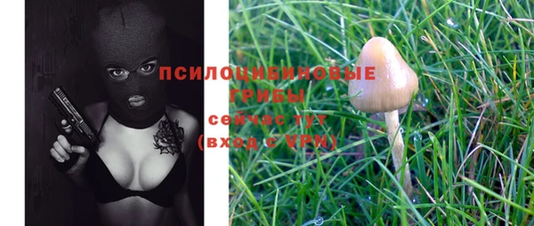 крисы Белоозёрский