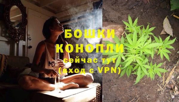 дмт Богданович