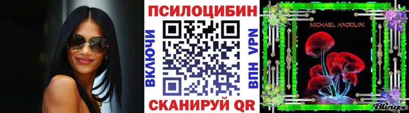 Псилоцибиновые грибы Psilocybe  купить   MEGA как зайти  Воркута 